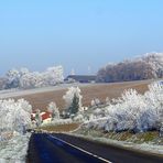 Paysage givré sous le soleil de décembre entre Caussens et Condom (Gers)