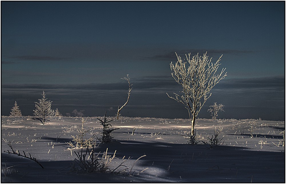 Paysage hivernal 1