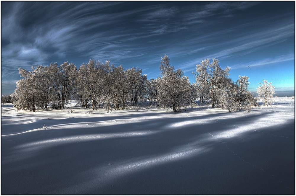 Paysage hivernal 10