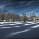 Paysage hivernal 10