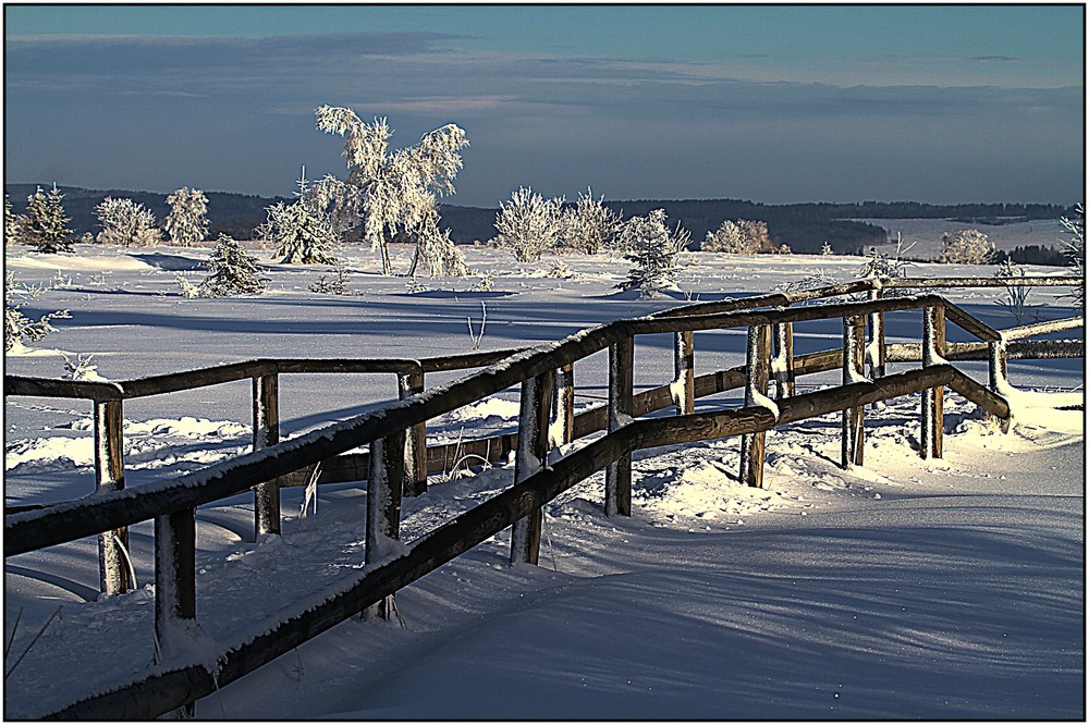 Paysage hivernal 11