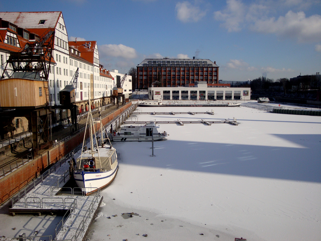 Paysage hivernal