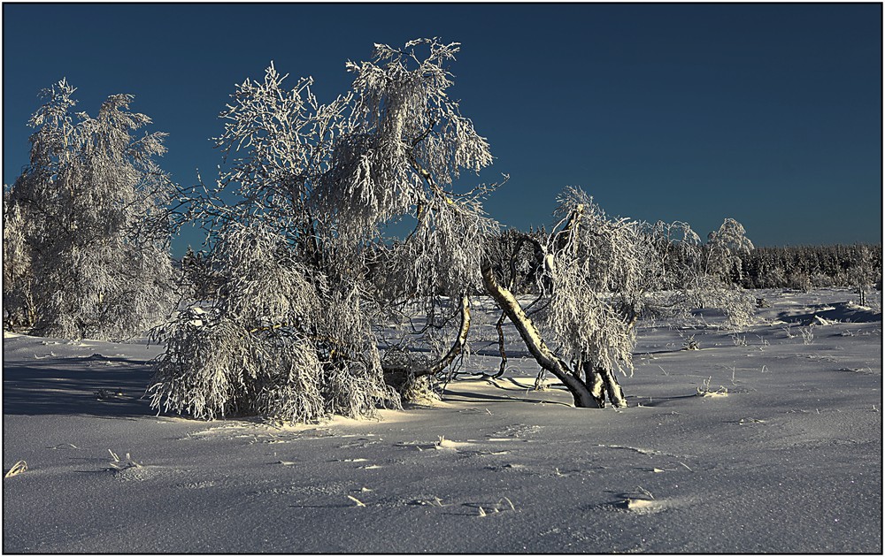 Paysage hivernal 3