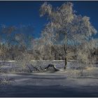 Paysage hivernal