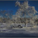 Paysage hivernal