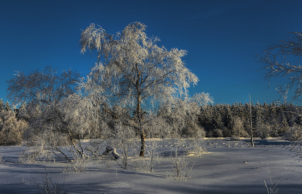 Paysage hivernal 9