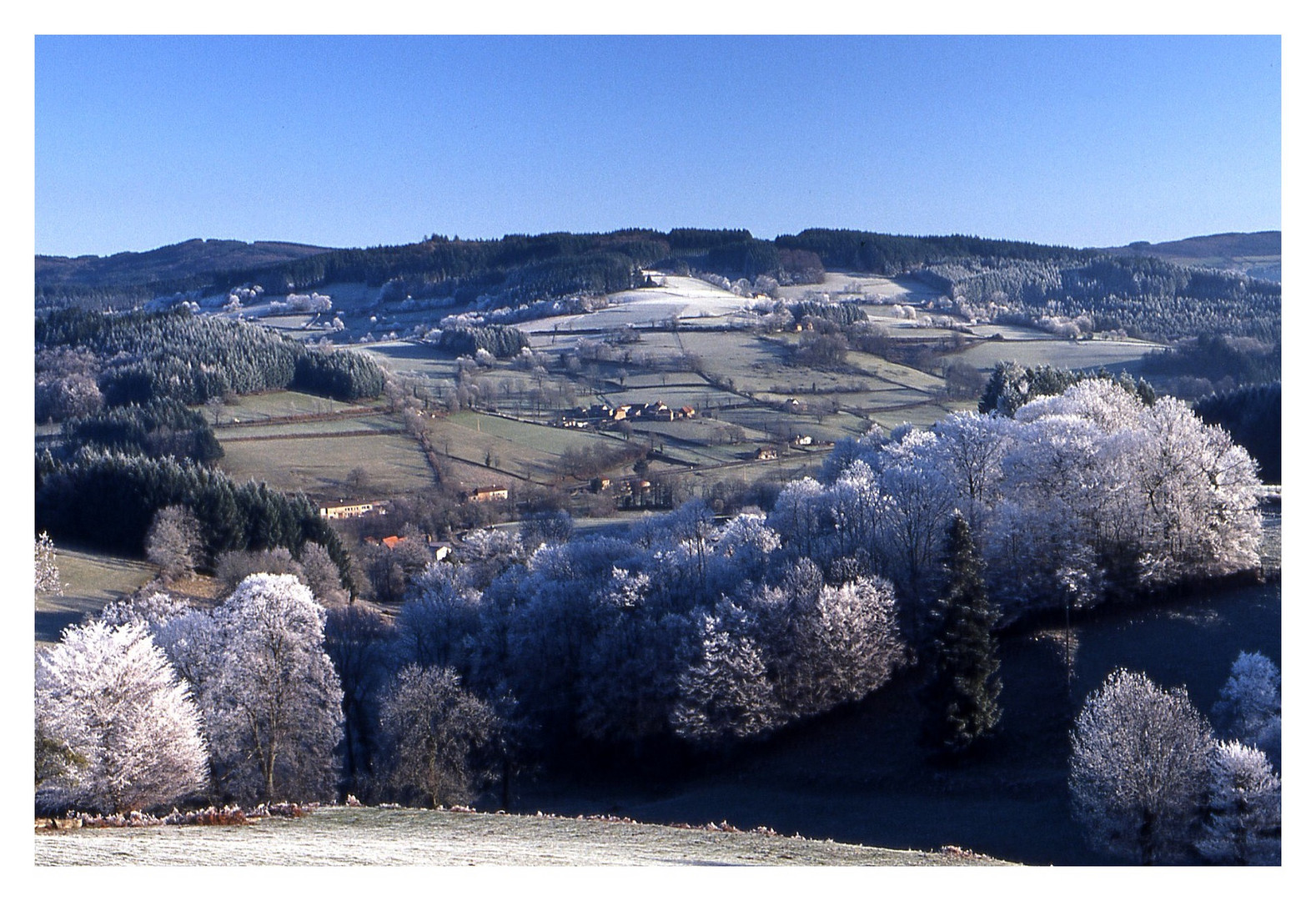 Paysage hivernal