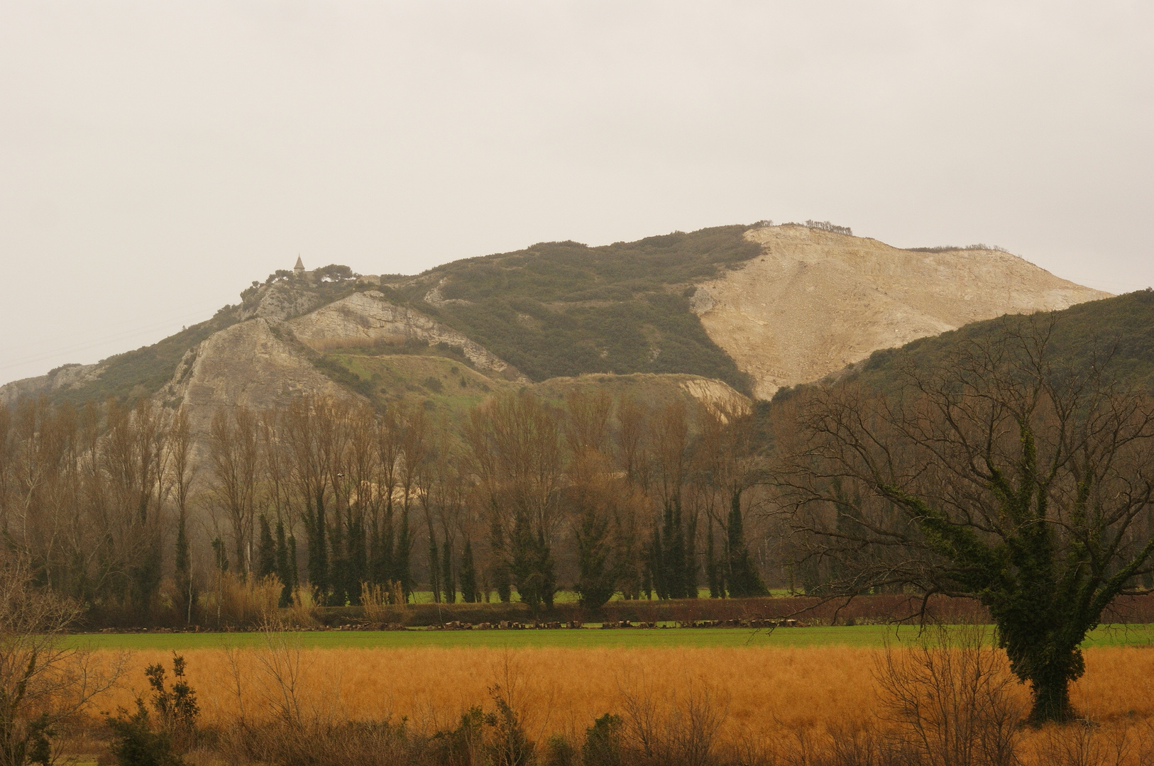 Paysage Hivernal II