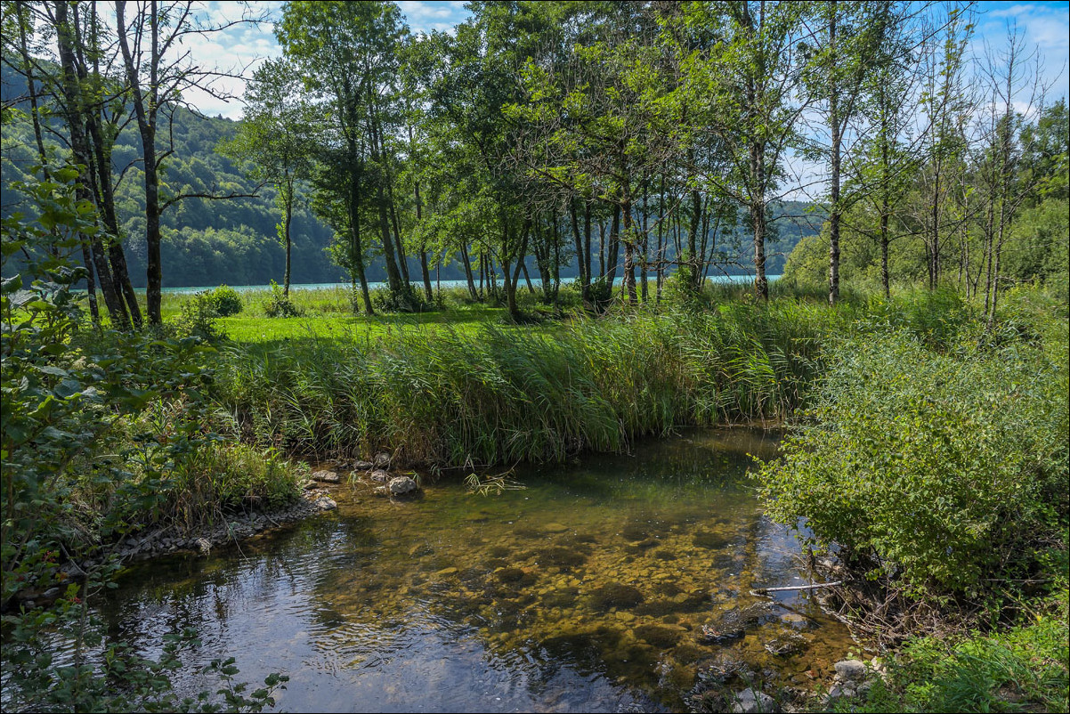 Paysage Jurassien