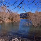 paysage Lac du Broc