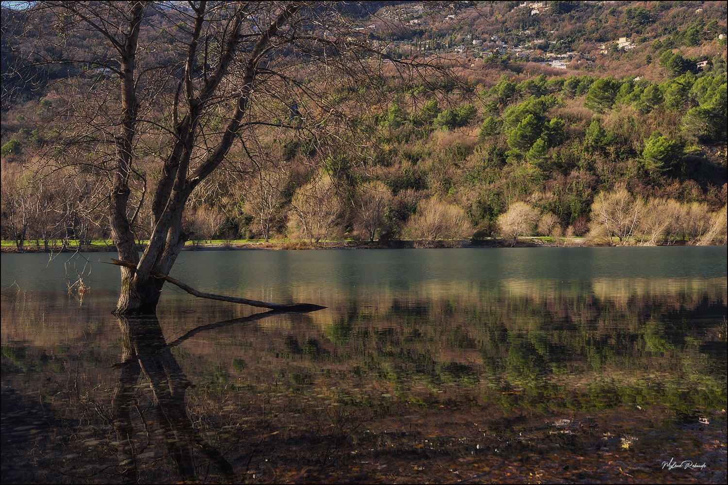 Paysage Lac du Broc