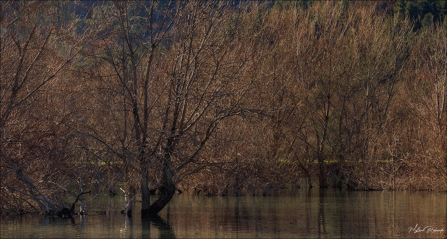 Paysage Lac du Broc