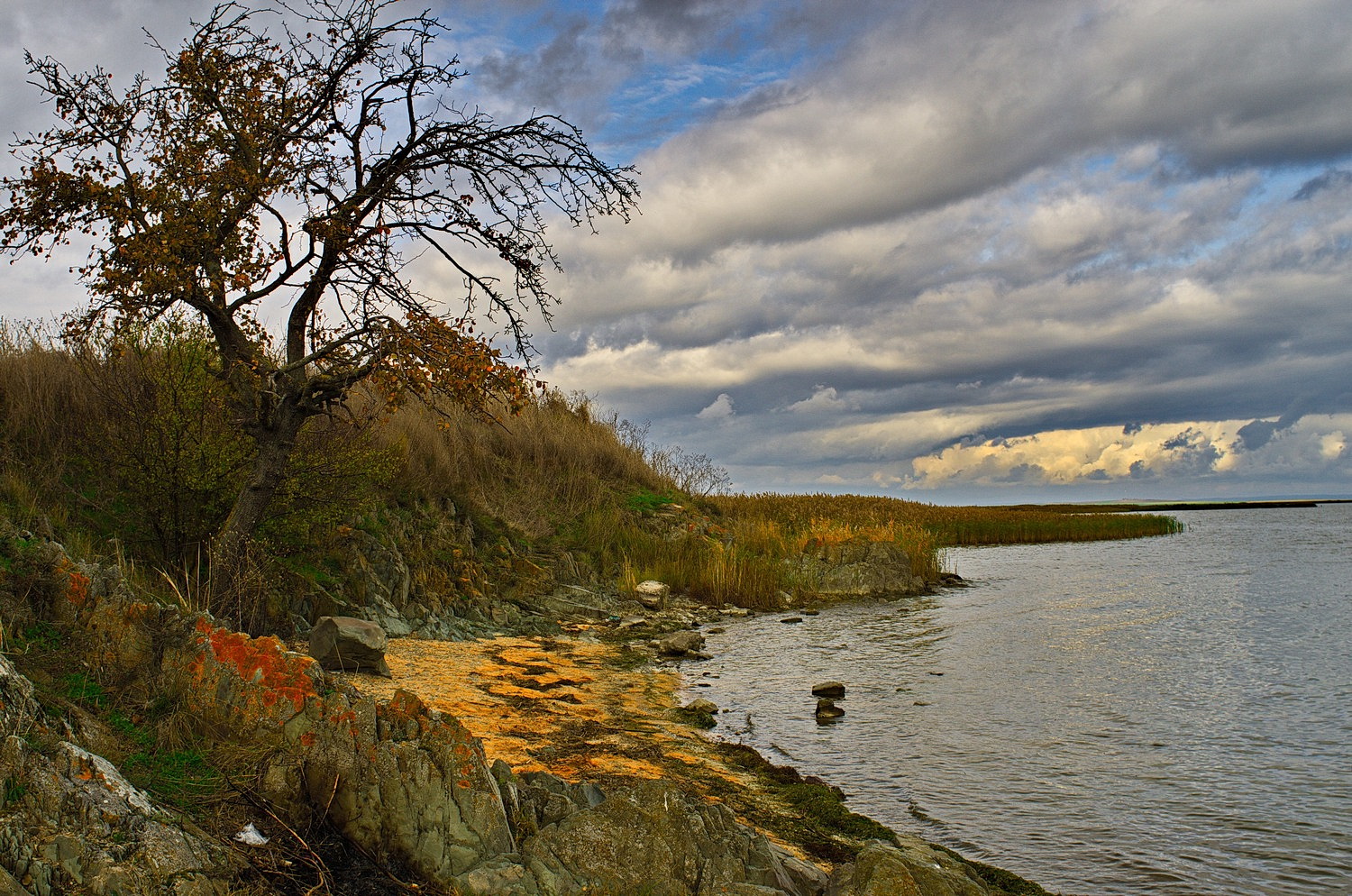 Paysage lacustre