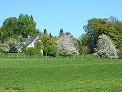 Paysage limousin