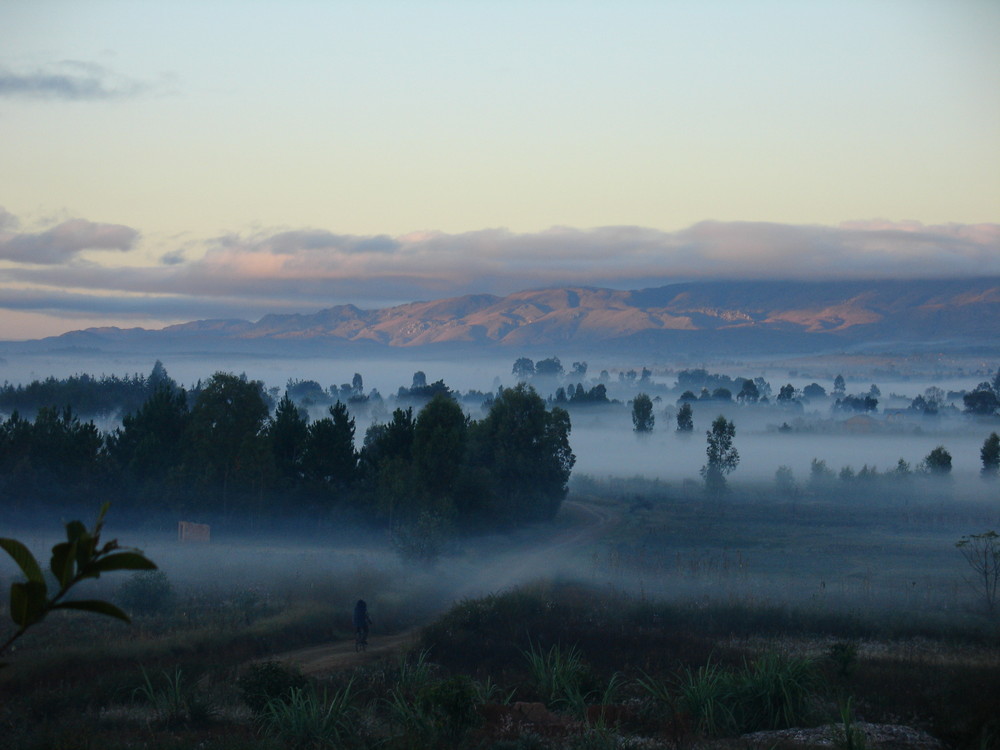 Paysage malgache, au petit matin