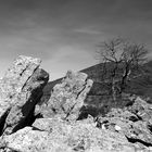 Paysage montagneux d'Auvergne