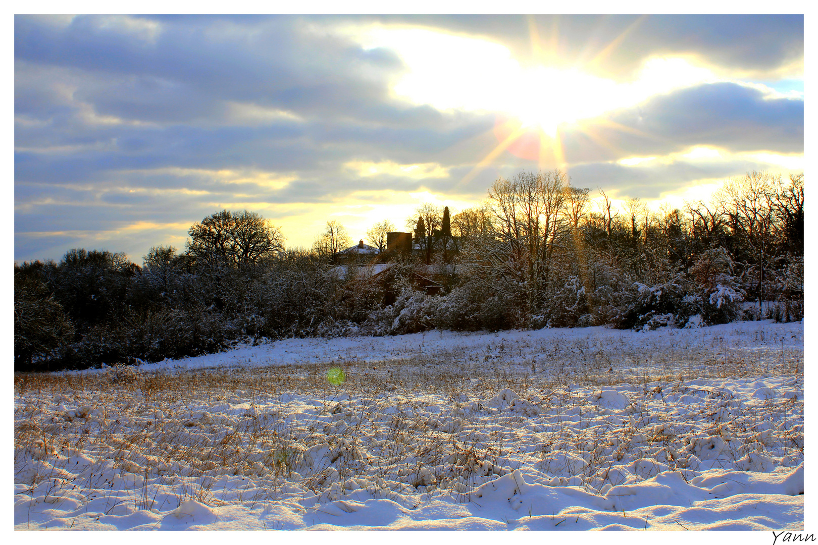 Paysage neigeux