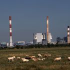 Paysage pastoral et industriel