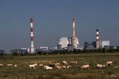 Paysage pastoral et industriel