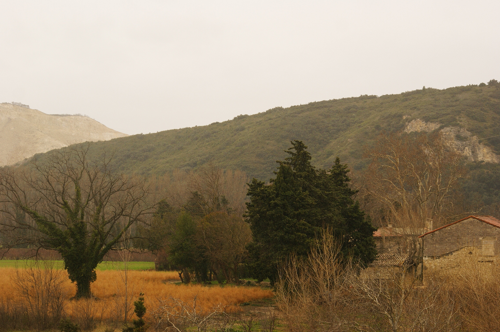 Paysage pluvieux en hiver