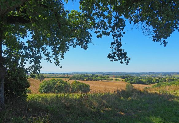 Paysage près de chez moi