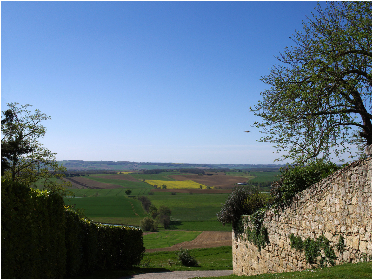 Paysage près de Flamarens  --  Gers