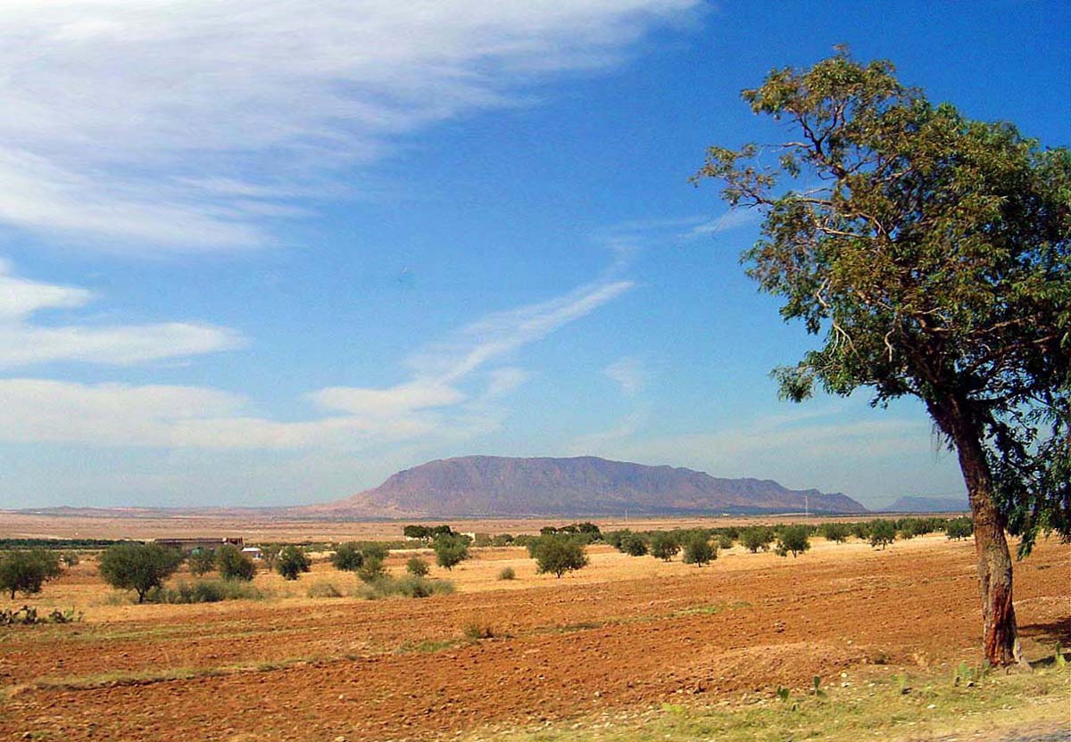 Paysage près de Gafsa