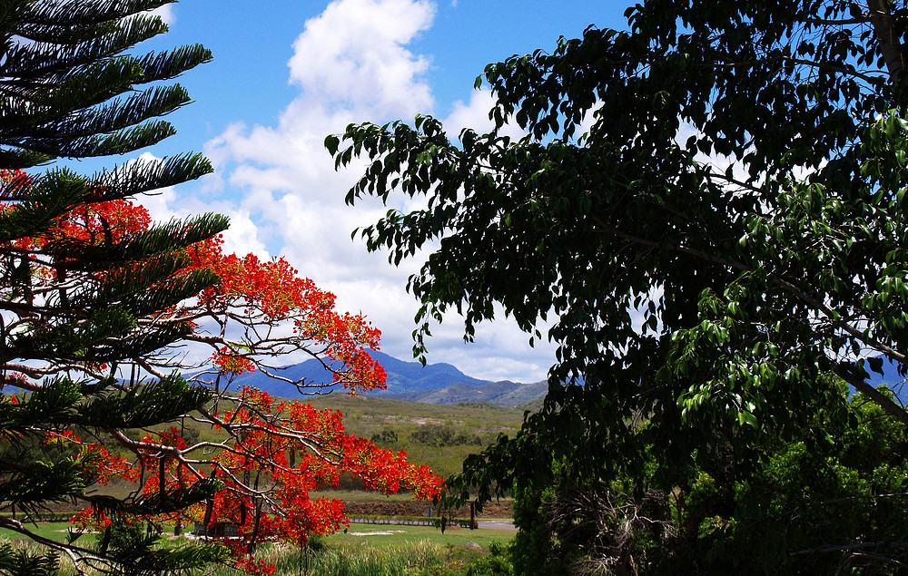 Paysage près de Koné (Centre Ouest de la Nouvelle-Calédonie)