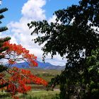 Paysage près de Koné (Centre Ouest de la Nouvelle-Calédonie)