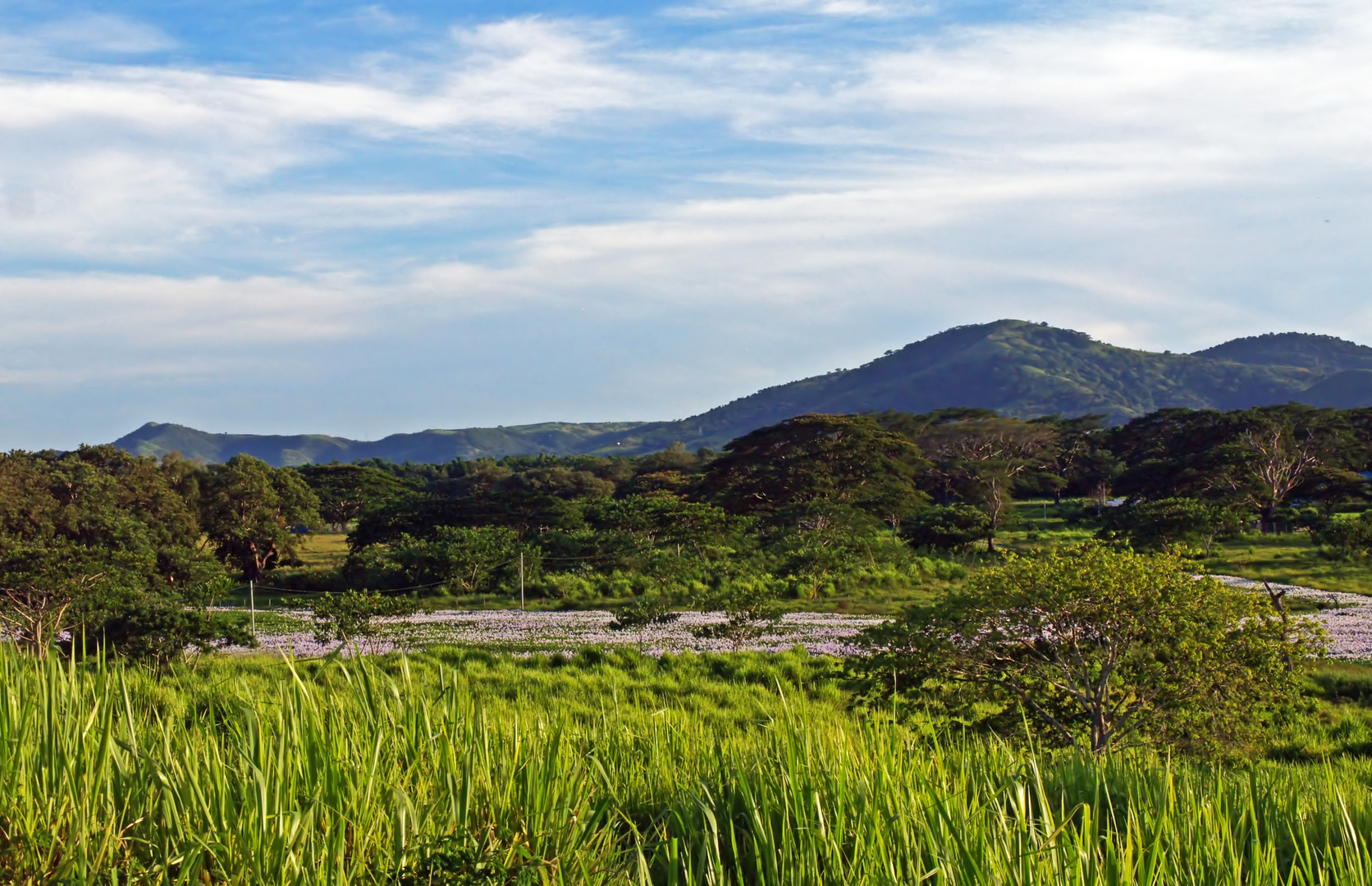 Paysage près de La Foa (centre de la Côte ouest)