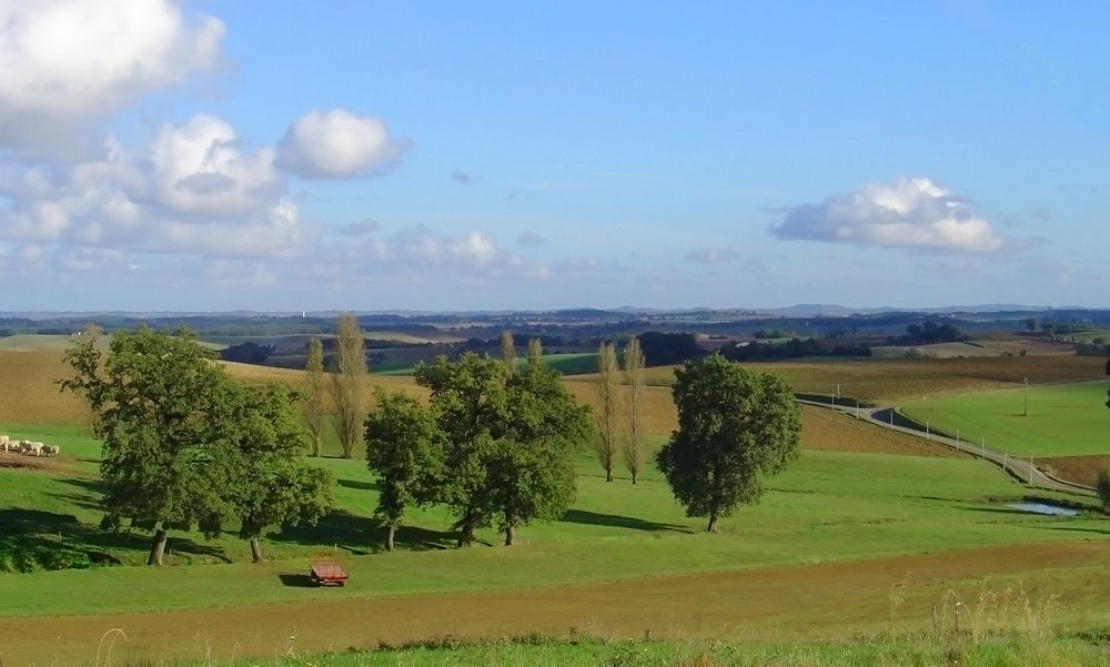 Paysage près de La Sauvetat