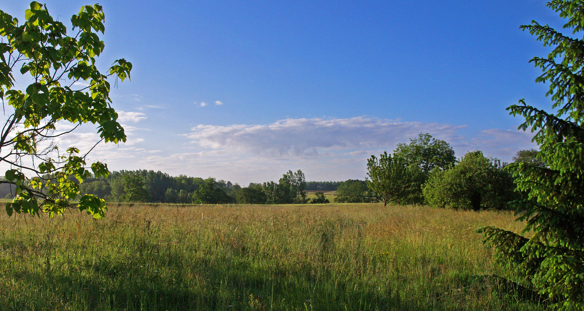 Paysage près de Nogaro (Gers)