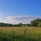 Paysage près de Nogaro (Gers)