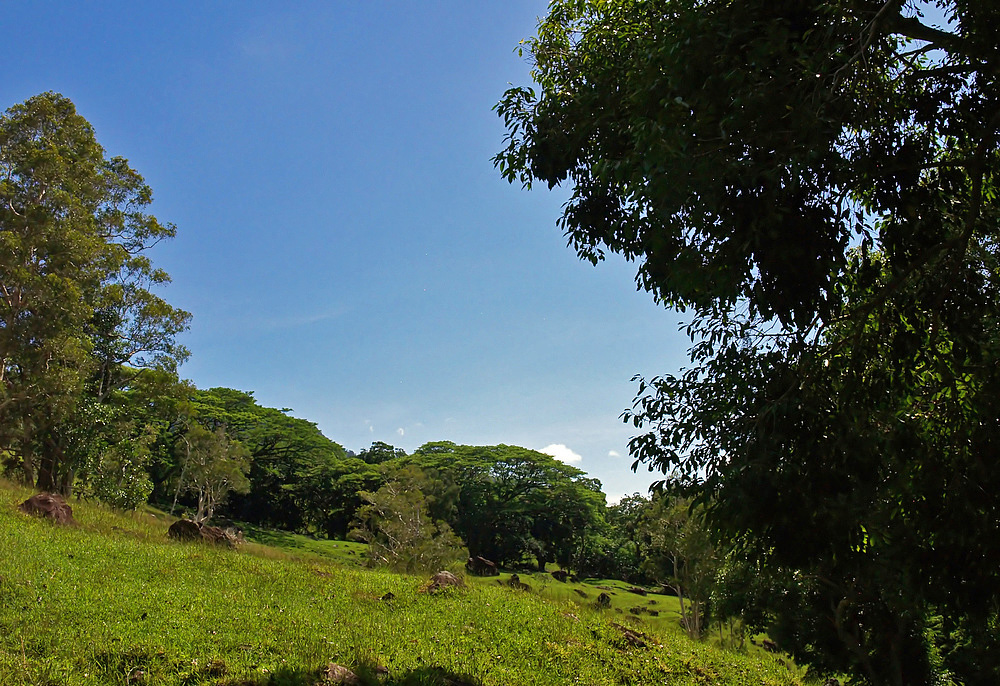 Paysage près de Sarraméa  -- Landschaft nahe Sarraméa