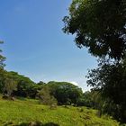 Paysage près de Sarraméa  -- Landschaft nahe Sarraméa