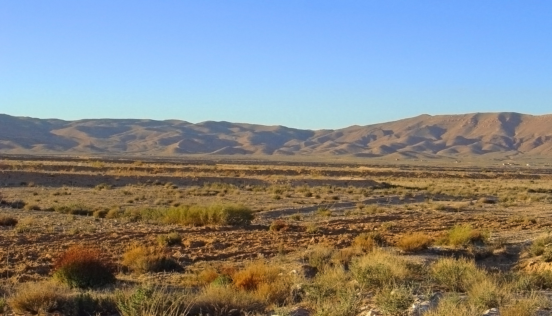 Paysage près de Sbeitla