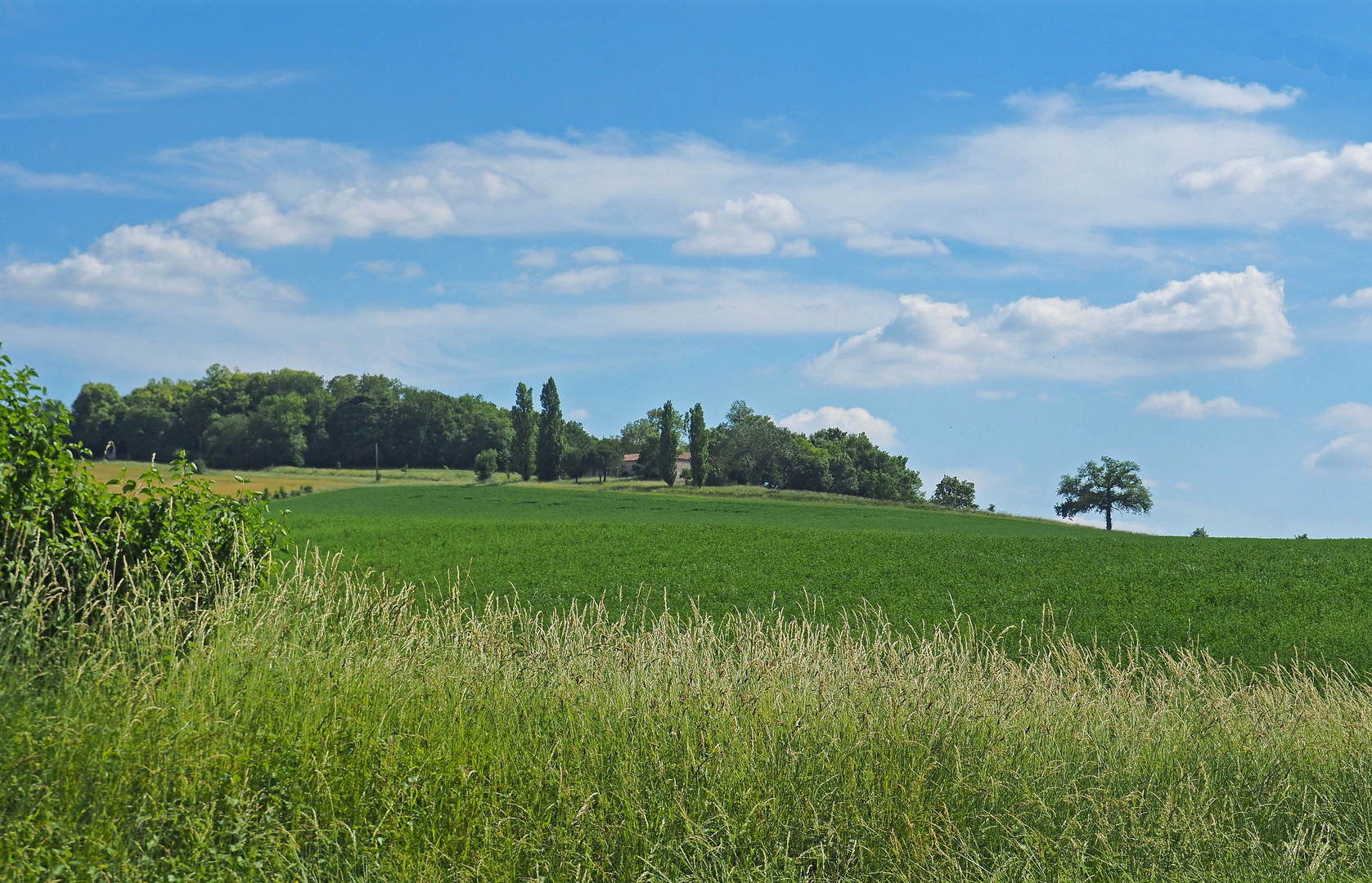 Paysage presque estival