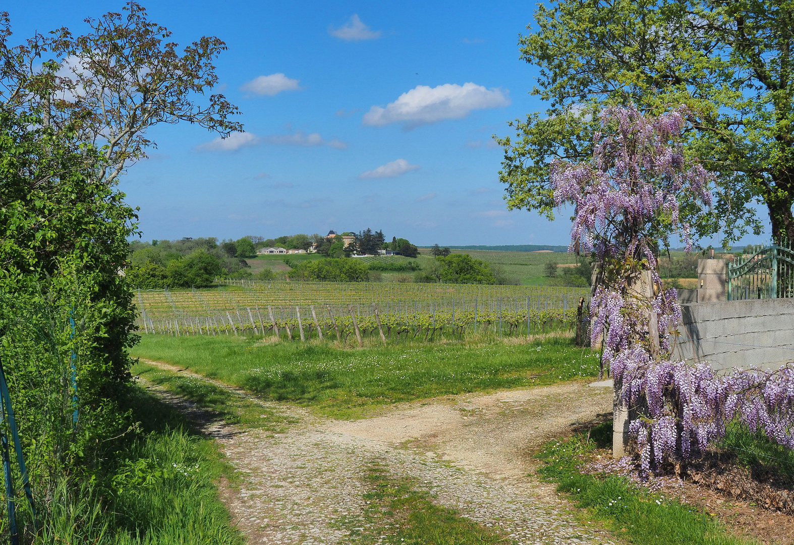 Paysage printanier à Caussens (Gers)