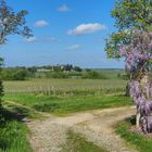 Paysage printanier à Caussens (Gers)