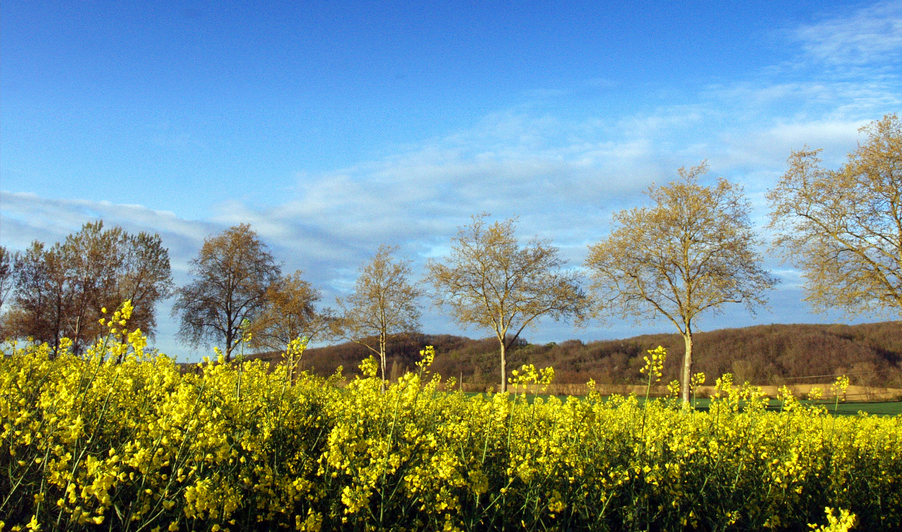 Paysage printanier dans le Gers