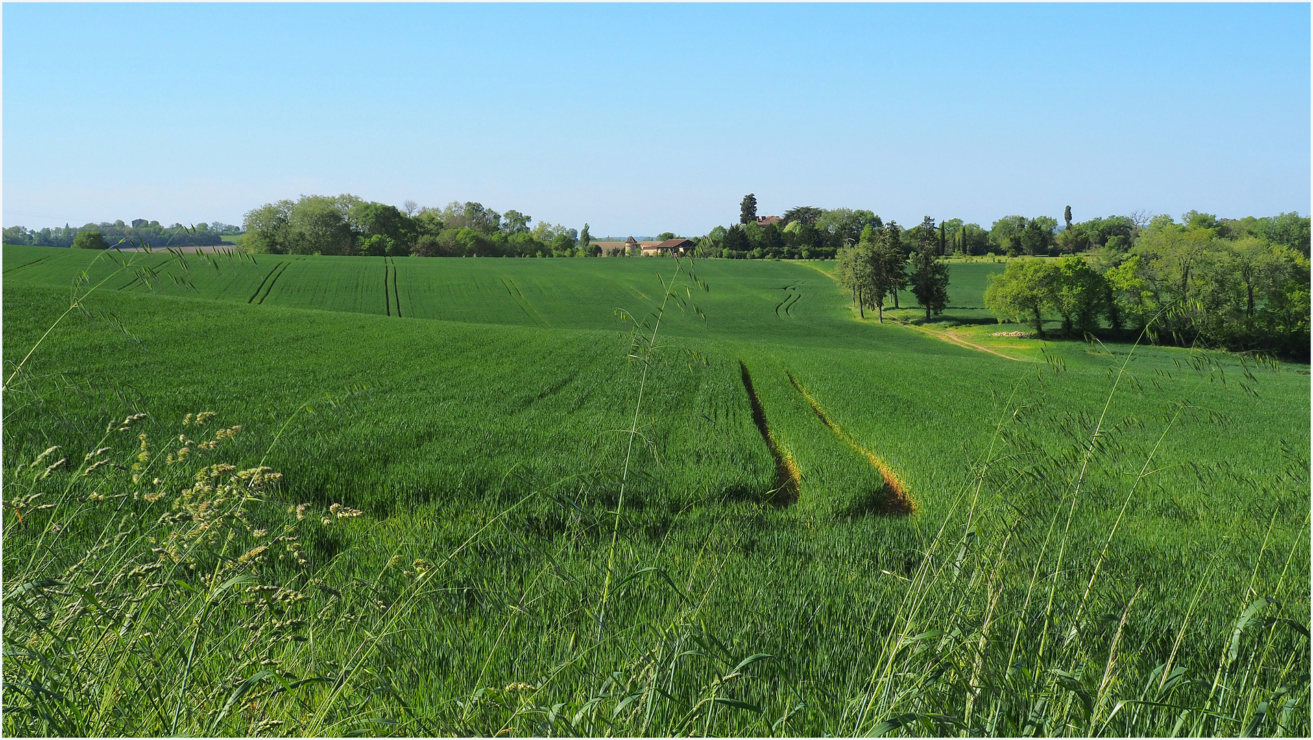 Paysage printanier dans le Gers