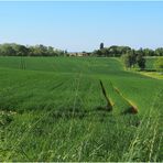 Paysage printanier dans le Gers