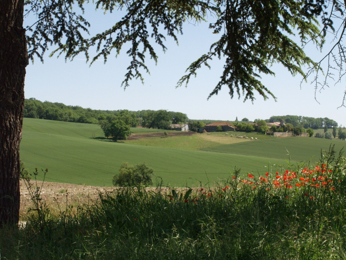 Paysage printanier dans le nord du Gers