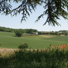 Paysage printanier dans le nord du Gers