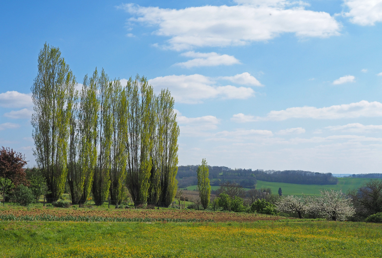 Paysage printanier depuis mon village