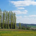 Paysage printanier depuis mon village