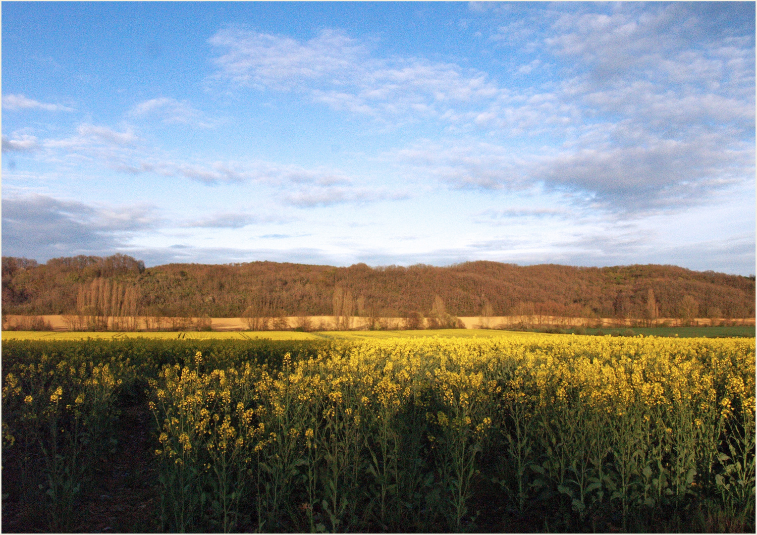 Paysage printanier du sud du Gers en fin d’après-midi