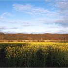 Paysage printanier du sud du Gers en fin d’après-midi