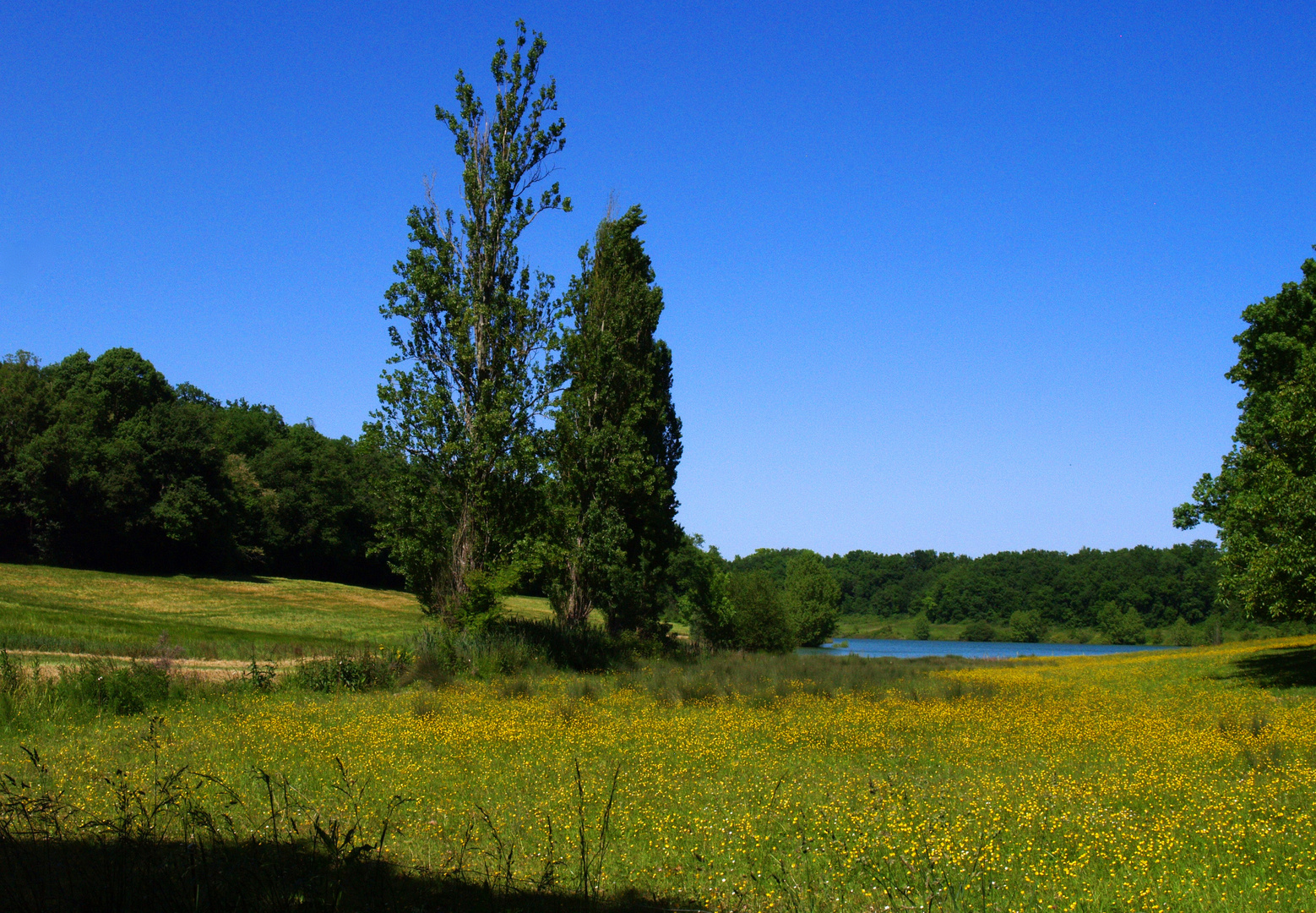 Paysage printanier près du lac du Bousquetara (Caussens – Gers)