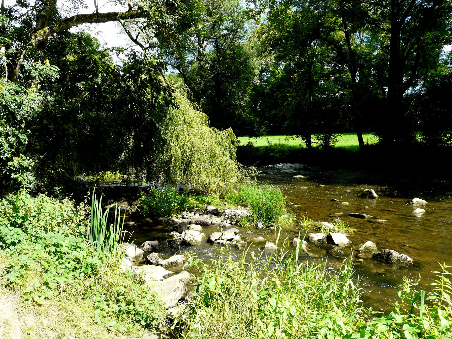 PAYSAGE SAINT CENERI